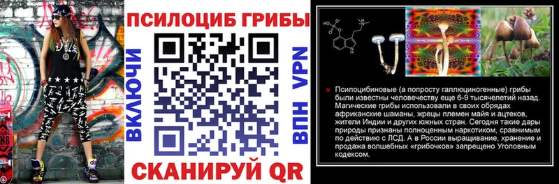 Галлюциногенные грибы MAGIC MUSHROOMS  что такое   Первомайск 